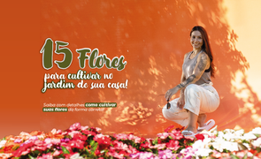 Sem Ttulo 1_Prancheta 1