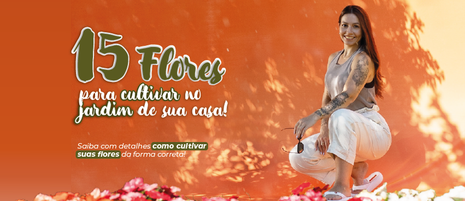 Como cuidar de suas flores e as 15 espécies mais procuradas para o cultivo.
