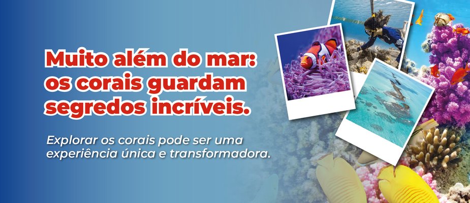 A magia dos corais: uma experiência única de conexão com a natureza A magia dos corais: uma experiência única de conexão com a natureza